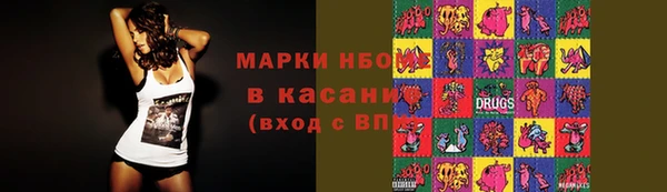 индика Аркадак