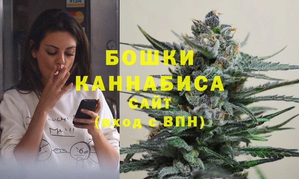 индика Аркадак