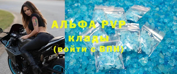 индика Аркадак