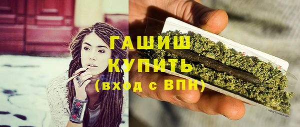 индика Аркадак