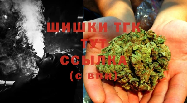 индика Аркадак