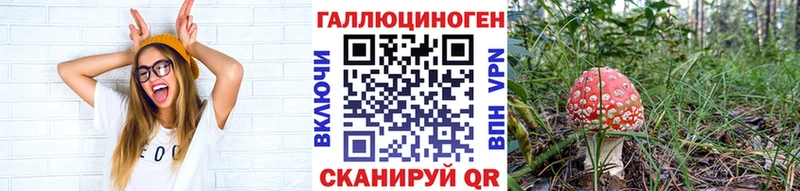 Псилоцибиновые грибы Cubensis  Череповец 
