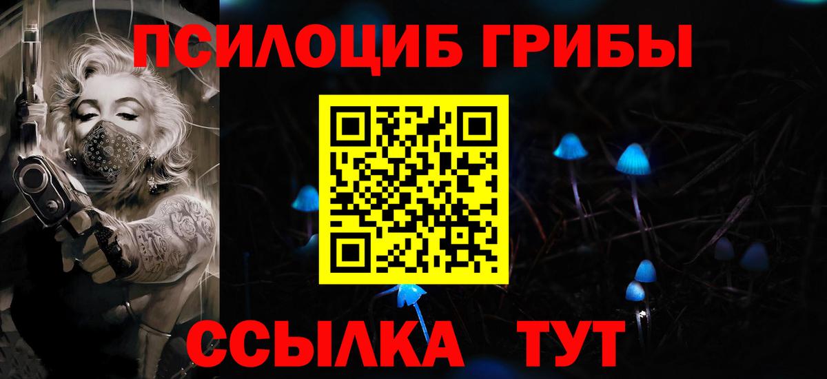 Галлюциногенные грибы Psilocybine cubensis  Псилоцибиновые грибы Cubensis  Вход с VPN  наркошоп  Череповец 